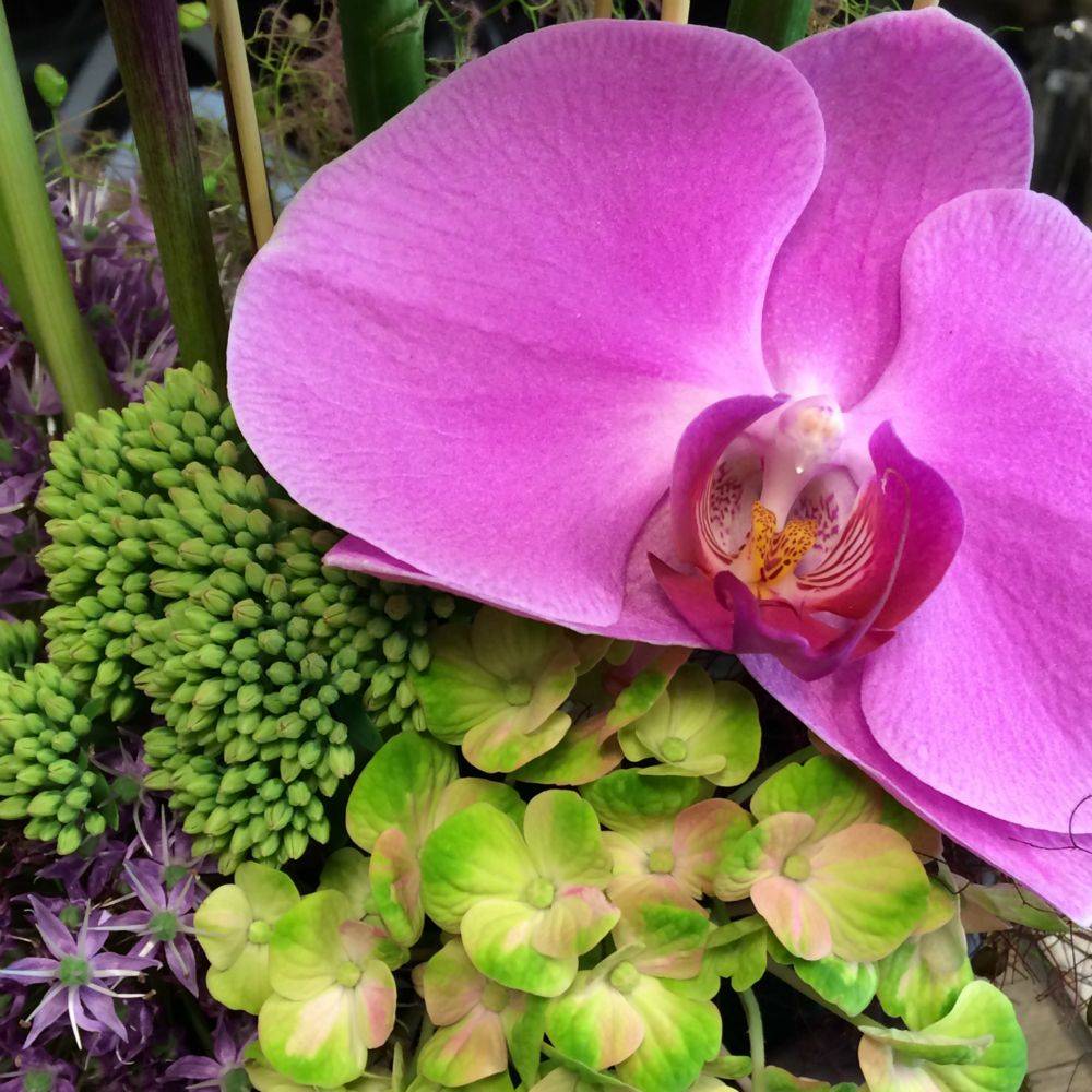 Compo-fleur-Atelier-de-Mary (3)