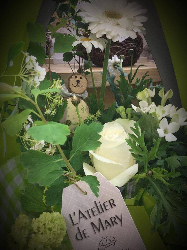 Plante fleurie Pélissanne  (6)